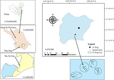 Constructing two-level nonlinear mixed-effects crown width models for Moso bamboo in China